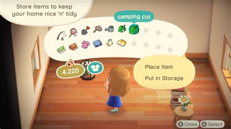 what is pocket organization guide in animal crossing